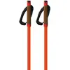Fischer Bâtons Storm Gtx L