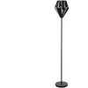EGLO Carlton 5 Vloerlamp - E27 - 152,5 cm - Zwart