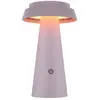 Globo Lampe solaire d'extérieur led usb-c IP54 rose variateur tactile ...