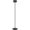 EGLO, Lampadaire, ROCCANOVA-L Stehleuchte mit Akku & Solar (270 lm)