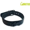 Collier Puppy Collar Noir  