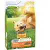 Friskies Balance droogvoer voor honden - kip, rund & groenten - 3000g