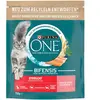 PURINA ONE Sterilcat saumon pour chat - 750 g