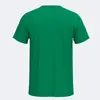 Joma Inter IV Shirt Korte Mouw Heren - Groen / Wit | Maat: M
