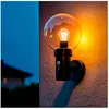 TECHBREY Applique Murale Extérieure Acier Inoxydable avec Détecteur PIR Optic  Noir