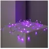 TECHBREY Guirlande Led Extérieure À Piles 5m Vert