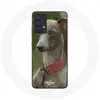 Coque pour Samsung Galaxy A13 4G / A13 4G Lite Lévrier greyhound Gris ...