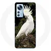 Coque pour Xiaomi Mi 12 / 12X Cacatoes Perroquets Blanc sur l'arbre Ma...
