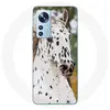 Coque pour Xiaomi Mi 12 / 12X Appaloosa Cheval blanc Maniacase