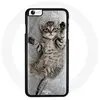 Coque pour Iphone 7 Chat chaton Bengal gris Maniacase