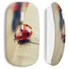 Souris Sans Fil Coccinelle Maniacase