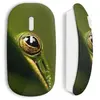 Souris sans fil Grenouille oeil Maniacase