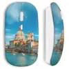 Souris sans Fil Soak city Maniacase