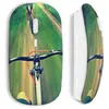 Souris sans Fil VTT on road Maniacase