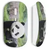 Souris sans fil Panda Maniacase