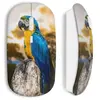 Souris sans fil Perroquet Maniacase