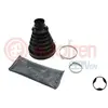 Asmanchetten set D8483T Autofren