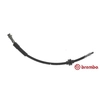 Remslang T23186 Brembo