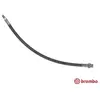 BREMBO Flexible de frein pour MINI: MINI (Ref: T 06 047)