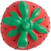 Oli & Carol Jouet de dentition Chewy Sweetie la fraise
