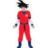 Alpexe DÉGUISEMENT GUERRIER MANGA SANGOKU TAILLE UNIQUE