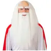 Witte tovenaars carnaval / halloween pruik met baard