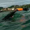 Orca Combinaison En Néoprène à Manches Longues Pour Femme Zeal Hi-vis