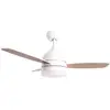 Ventilateur De Plafond Jocca Avec Lumière