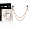 COQUETTE FANTASY PINZAS METALICAS PEZONES CON CADENA