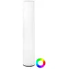 NEWGARDEN Lampadaire polyéthylène blanc Intérieur Extérieur Fity Ø19 x H160 cm batterie rechargeable + télécommande - Couleur éclairage