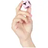 Secret Play - Erotische Dobbelsteen - Verschillende posities - 2.5 cm