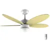 Cecotec Ventilateur de plafond EnergySilence Aero 4260 SunLight