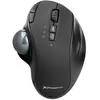 Phoenix Technologies Souris Sans Fil Ergo T1