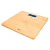 Tm Electron Balance Tmpbs032