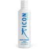 Shampoing Anti Frisottis I.c.o.n. Bk Wash (200 ml) 200 ml