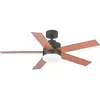 Blaupunkt Ventilateur De Plafond Bp2011