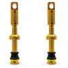 Tols Soupapes Tubeless Presta 44 Mm