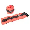 Olive Poids Poignet/cheville 3kg 2 Unités
