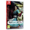 Nintendo Games Switch Terracotta