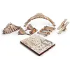 Crawler Park Kit De Bienvenue 5 Obstacles Pour Rc 1/24 & 1/18