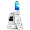 Spc Téléphone Portable 2337b
