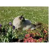 Grillage métallique plastifié - NORTENE - 1 x 10 m - Couleur verte - M...