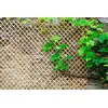 NORTENE Tuteur échelle en métal Nortène - Wick trellis 0,50 X1,50 - Marron