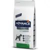 Lot Affinity Advance Veterinary Diets pour chien - Urinary Low Purine ...