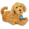 Famosa Jouet Moji The Labradoodle