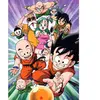 Educa Puzzle Dragon Ball 200 pièces (200 pièces)