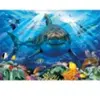 Educa 500 GRAND REQUIN BLANC