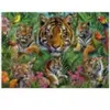 Educa 19902      500   . Jungle du tigre (500 pièces)