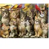 Puzzle - EDUCA - Chatons et Oiseaux - 500 pièces