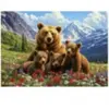 Educa Grizzlis au Canada 20553